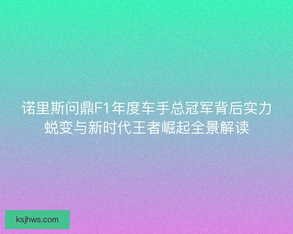 诺里斯问鼎F1年度车手总冠军背后实力蜕变与新时代王者崛起全景解读